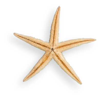 Lançamentos Barra da Tijuca // Lançamentos Barra da Tijuca RJ